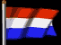 Offerte in het Nederlands